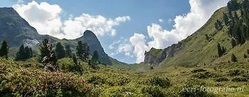 شقة Appartments Am Bach - Riverside